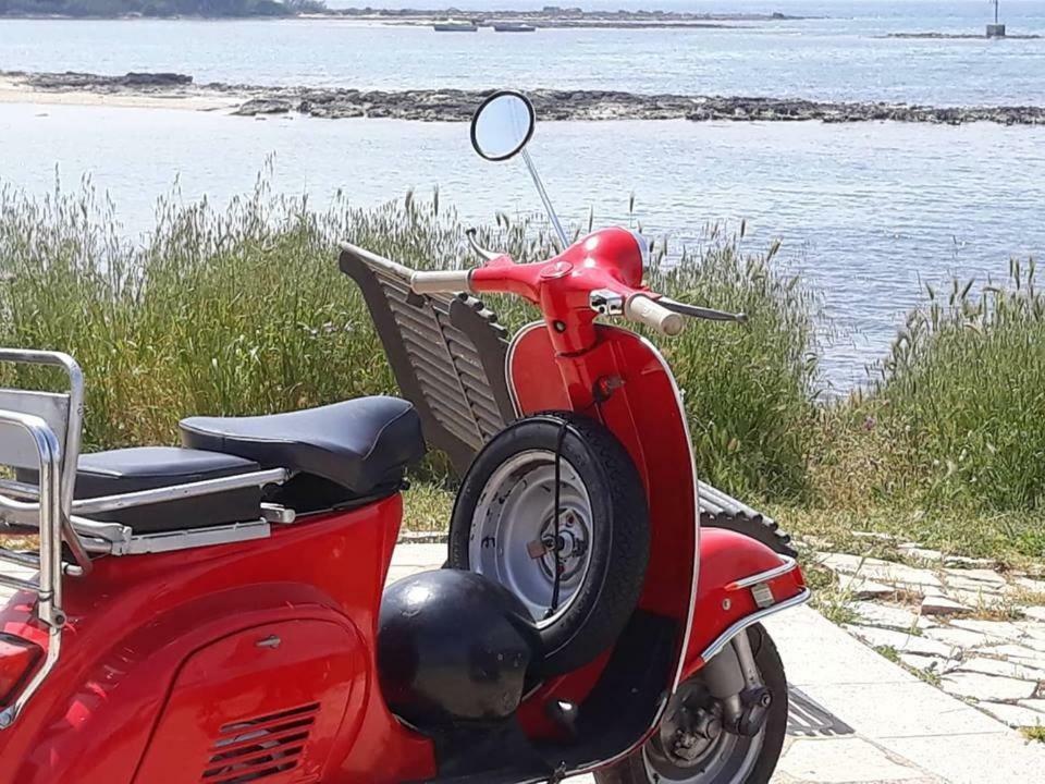 Villino Dolores 30 Mt Mare Porto Cesareo Dış mekan fotoğraf